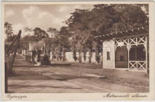 Gyöngyös, Mátravasúti állomás (fa)