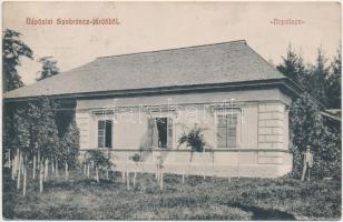 Szobráncfürdő, 'Napoleon' Ignáczy Géza kiadása