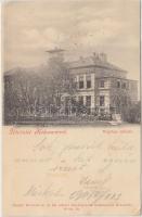 Kolozsvár, Vegytani intézet, kiadja Dunky Fivérek / Chemical Institute (EK)