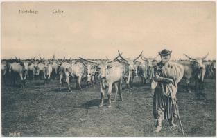 Hortobágy, gulya, Harmathy Pál kiadása