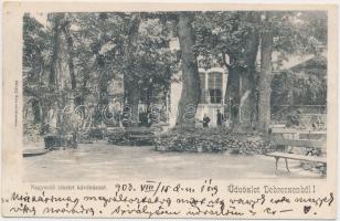 Debrecen, Nagyerdő, Mihály Sámuel kiadása (fa)