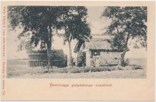 Hortobágy, gulyástanya vasaló