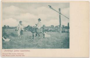 Hortobágy, juhász szamárháton, Pongrácz Géza kiadása, Kiss Ferenc felvétele