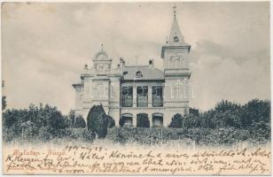 Balatonfüred, Hercegprímás nyaralója; Schmidt Edgar