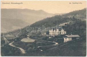 Rózsahegy, Gr. Seefried villa, Komor testvérek kiadása