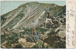 Tátra, Kriván csúcsa / peak, Feitzinger Ede 1904/14. No. 617.