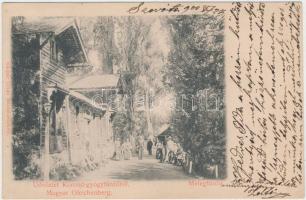 Korond-Gyógyfürdő, Meleg fürdő, kiadja Gáspár Gyula / warm spa