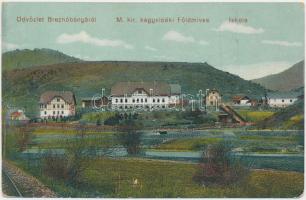 Breznóbánya, Földmíves iskola / Agrarian school (EK)