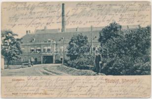 Kőszeg, Gőzmalom, Nussbaum N. Ferenc kiadása (Rb)