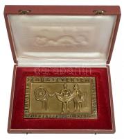 ~1980. "Kisipari Szövetkezetek Országos Szövetsége - Szabászverseny" Br és fém emlékplaket...