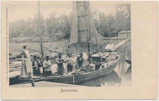 Balaton halfelbontás, Ellinger Ede kiadása (fl)