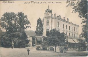 Vöslau, Hotel Stefanie (wet damage)