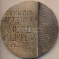 Asszonyi Tamás (1942-) 1987. "Megnyílt Szigetbecsén az André Kertész Emlékház" Br emlékplakett (90mm) T:2