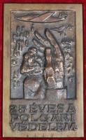 ~1980. "25 éves a Polgári Védelem" Br emlékplakett tokban (143x86mm) T:2
