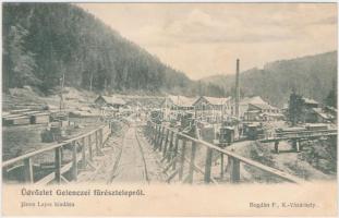 Gelence, Fűrésztelep, kiadja János Lajos / saw mill