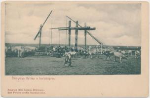 Hortobágy, Ökörgulya itatása, kiadja Pongrácz Géza (EK)