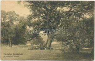 Tamási, vadaskerti csodafa, Jeruzsálem Ede kiadása