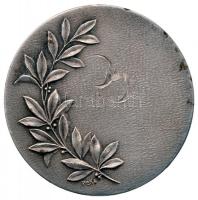 Svájc / Bern 1954. "A Futball Világbajnokság Hivatalos Részvételi Érme" ezüstözött Br emlé...