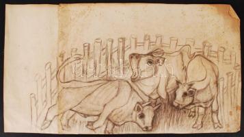 7 db akvarell és szénrajz különböző méretekben, feltekerve