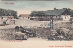 Hortobágy, Csendélet, kiadja Eperjes István