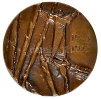 1975. "1945-1975" Br plakett (98mm) T:1-