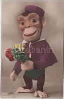 Monkey, Weco 10472/2.