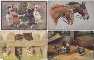 17 db RÉGI főként használatlan motívumlap; állat / 17 old mostly unused motive cards; animals