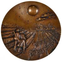 Várhelyi György (1942-) "A munkásőrség országos parancsnokától" Br plakett (144mm) T:2