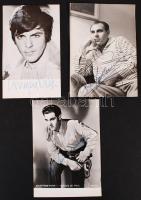 Híres férfi színészek aláírása, 3 db dedikált fotólap (pl. Salvatore Puma)