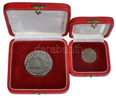 Csikszentmihályi Róbert (1940-) 1978. "Pest Megyei Tanács Alkotói Díja" Ag emlékérem és jelvény, mindkettő dísztokban (100.47g/49mm és 15.11g/28mm) T:2