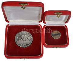 Csikszentmihályi Róbert (1940-) 1978. "Pest Megyei Tanács Alkotói Díja" Ag emlékérem és je...