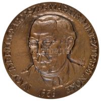 Várady Sándor (1920-2000) 1993. "Nagy Imre Magyarország mártír miniszterelnöke / Történelmi Igazságtétel Bizottság 301" Br emlékerem (118mm) T:2