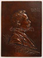 Beck Ö(tvös) Fülöp (1873-1945): Ferri. Bronz plakett, jelzett, 10x14 cm