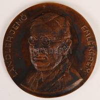 Józsa Bálint: Landler Jenő emlékérem. Bronz plakett, jelzett, d: 10 cm