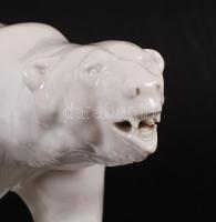 Herendi Maugsch jegesmedve, fehér mázas, jelzett, hibátlan, 22×41 cm