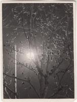 cca 1930-1935 Dulovits Jenő (1903-1972): Éjszakai szálláshely, vintage fotóművészeti alkotás, szerzői pecséttel jelzett, 12x9 cm