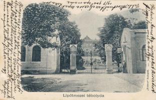 Budapest II. Lipotmező Asyl