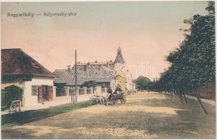 Nagymihály, Sulyovszky utca / street