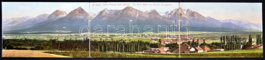 Tátra, kiadja Cattarino S. utóda Földes Samu panoramacard (hajtásnál szakadt / bent til broken)