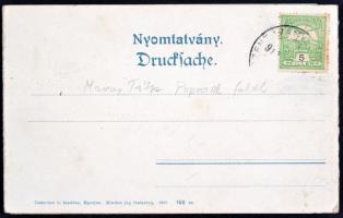 Tátra, kiadja Cattarino S. utóda Földes Samu panoramacard (hajtásnál szakadt / bent til broken)