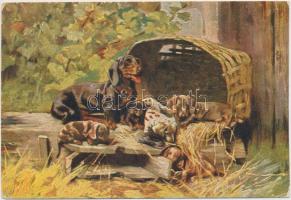 10 db RÉGI motívumlap; hölgyek, művész, kutya / 10 old motive cards; lady, art, dog