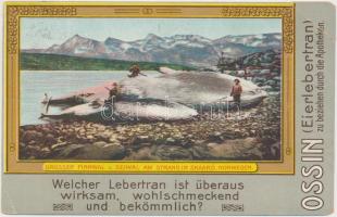 Skaarö, strand, Finnwal, Seiwal, Ossin Eierlebertran / beach, whales, Ossin cod liver oil advertisement (b)