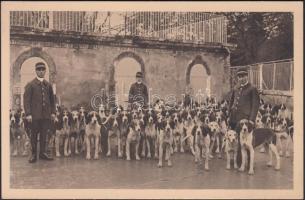 Cheverny, L'Equipage / hunters