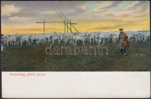 Hortobágy, delelő gulya