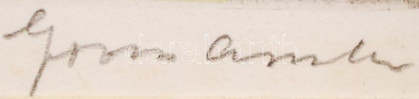 Gross Arnold (1929-): Segesvári táj. Színezett rézkarc, papír, jelzett, üvegezett keretben 19×30 cm