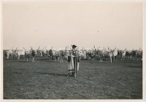 cca 1940 MFI: Mezőhegyesi cifragulya, 12x18 cm