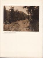 1943 Szabó: Erdély, Ratosnya, ipari vágány fakitermelőknek a falu melletti erdőségben, aláírt vintag...