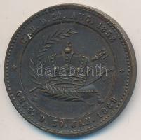 Ausztria 1889. "Rudolf 1858-1889" Br emlékérem T:2-,3 ph. Austria 1889. "Rudolf 1858-1889" Br commemorative medallion C:VF,F edge error