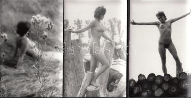 cca 1970 Aktfotózás természeti környezetben, 13 db finoman erotikus fénykép, 9x14 cm /
cca 1970 Nude...