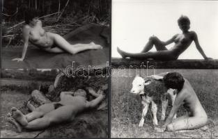 cca 1970 Aktfotózás természeti környezetben, 13 db finoman erotikus fénykép, 9x14 cm /
cca 1970 Nude...